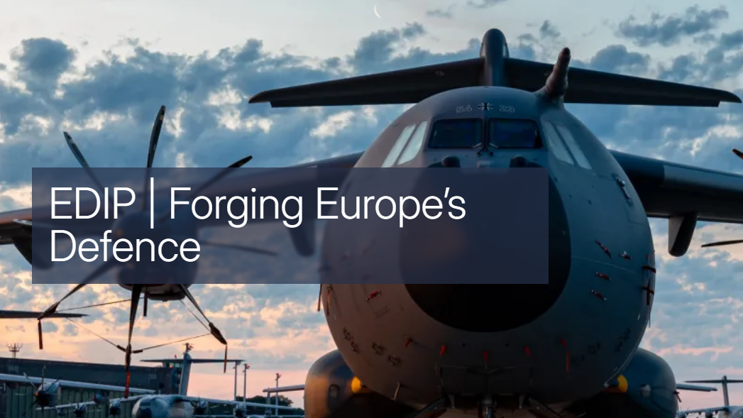 Cartel del programa EDIP