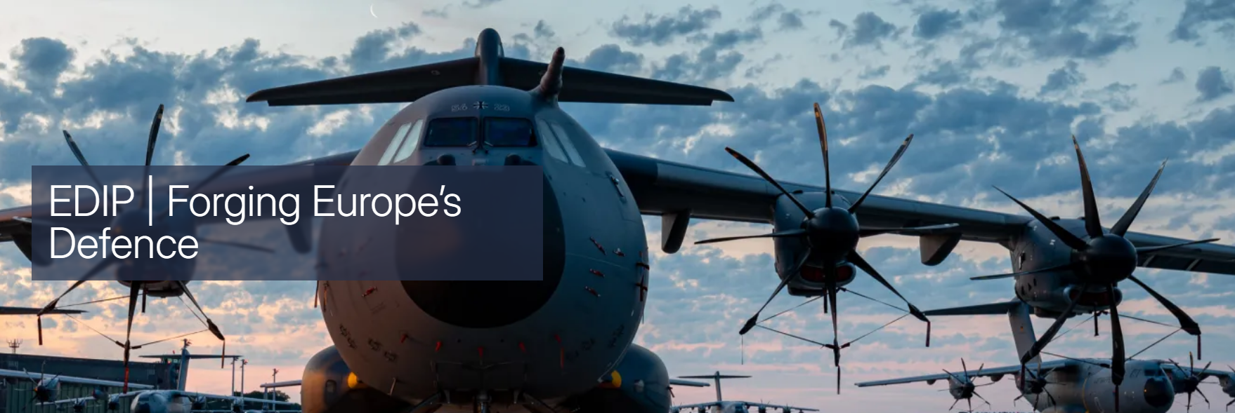 Cartel del programa EDIP